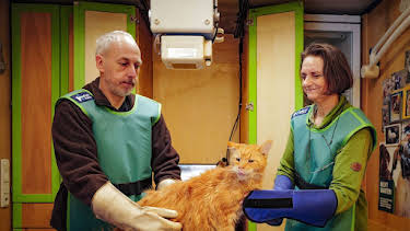 18:15: Die Nordreportage: Pferd, Katze, Kuh: mobile Hilfe für Tiere | Radio Bremen | 5/27 2026