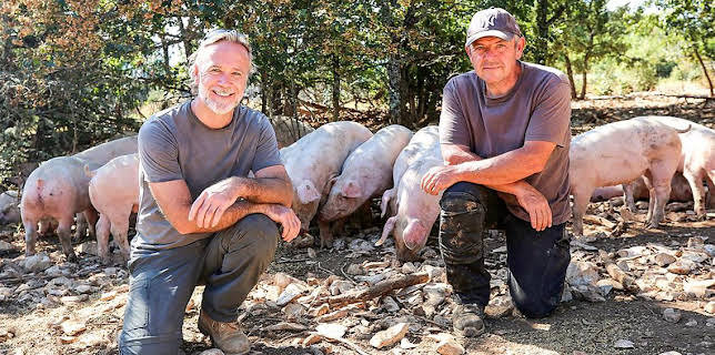 2:30 PM: Marcus Wareing Simply Provence (S1 E5) (S1) | BBC One | 2/2 2026