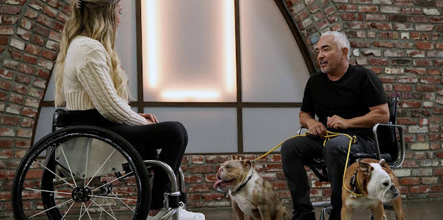 16:35: Cesar Millan: Better Human Better Dog - Bessere Menschen, bessere Hunde | Sixx | 3/8 2026