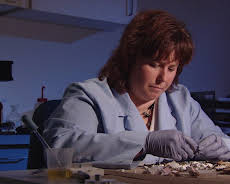 Medical Detectives - Geheimnisse der Gerichtsmedizin