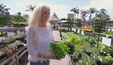 Svenska Hollywoodfruar (S11 E6)