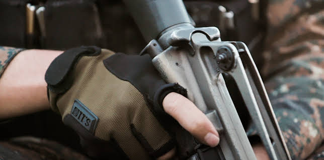 07:00: Criminal Planet | ZDFinfo | 10/31 2025