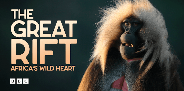 Great Rift: Africa's Wild Heart