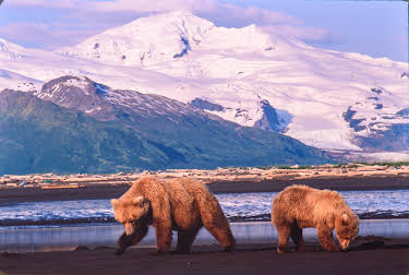 00:50: Kielings wilde Welt (1/3) | 3SAT | 4/20 2026