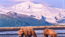 Kielings wilde Welt (1/3)