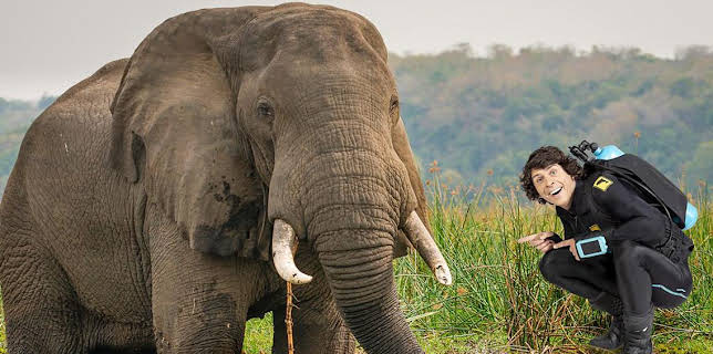 Andy's Aquatic Adventures