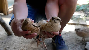 04:10: Die Nordreportage | NDR Fernsehen | 4/13 2026