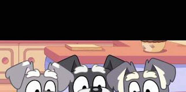 16:40: Bluey (T3): Ep.38 Cuentos | Disney Junior | 12/20 2025