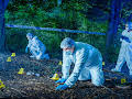 Forensics: Murder Scene