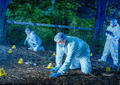Forensics: Murder Scene