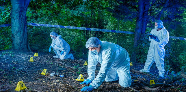 10:00 PM: Forensics: Murder Scene (S1 E1) (S1) | 5 Star | 2/8 2026