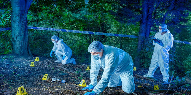 Forensics: Murder Scene