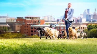 11:00 AM: Dogs Behaving (Very) Badly Australia (S2 E4) (S2) | 5 Select | 2/26 2026