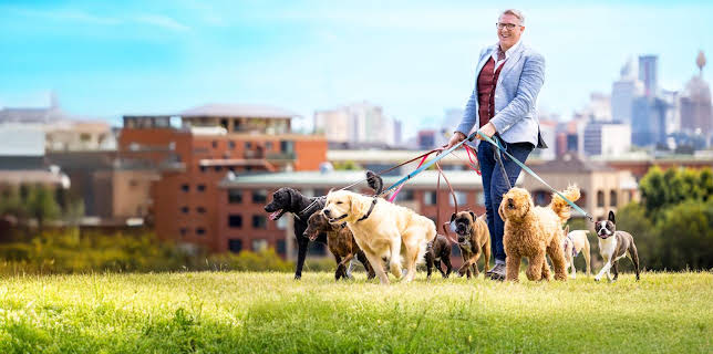 7:00 PM: Dogs Behaving (Very) Badly Australia | Channel 5 | 11/11 2025