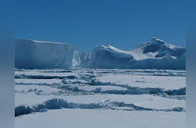 Spy in the Wild: Spy in the Wild, Meet the Spies