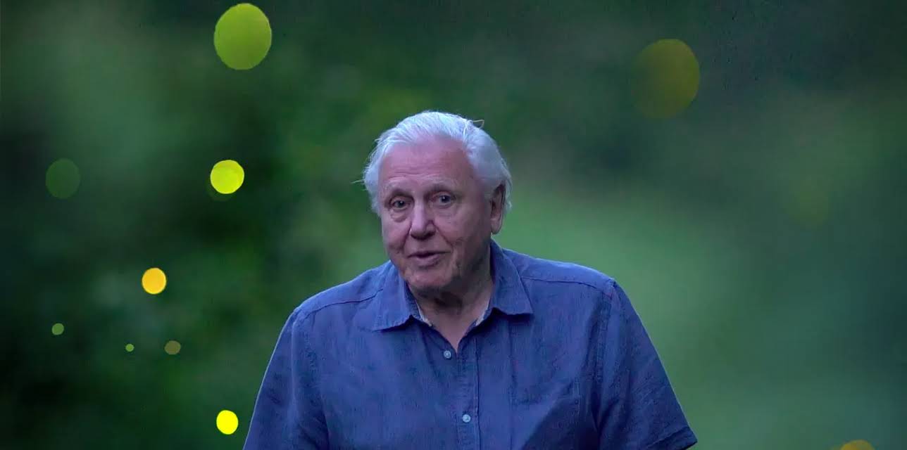 David Attenborough's Light On Earth (2016)