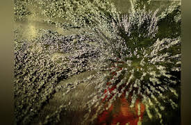 Weird Wonders of the World, Season 1: Episode 2