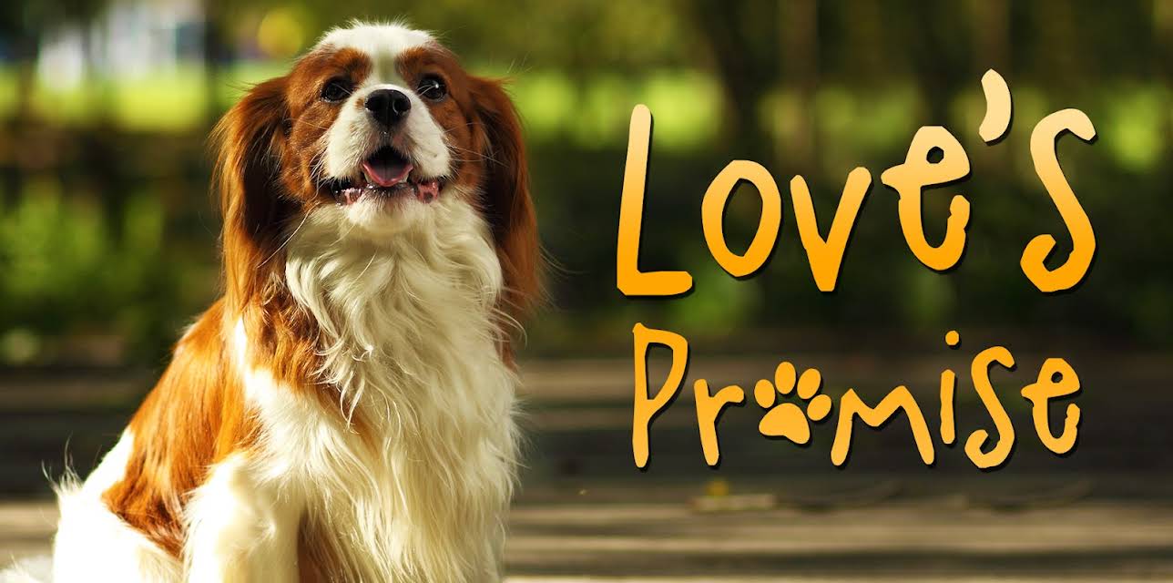 Loves Promise - Lily (2012)