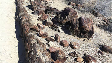 16:20: Kontinente in Bewegung | Arte | 4/1 2026