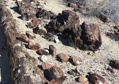 Kontinente in Bewegung