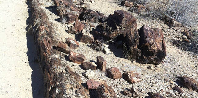 17:50: Kontinente in Bewegung | Arte | 2/16 2026