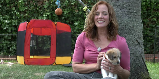 17:55: hundkatzemaus | VOX | 2/14 2026