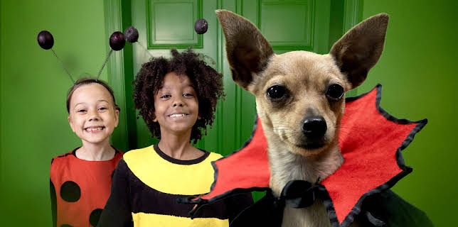 16:15: Dyredilla: Vampyrhund | NRK Super | 1/29 2026