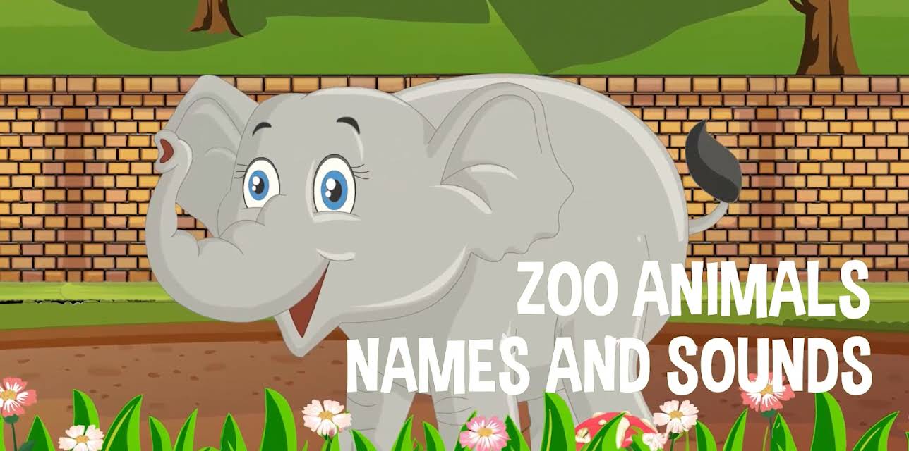 Zoo Animals Names and Sounds