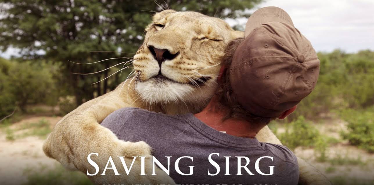 Saving Sirga - Journey Into the Heart of a Lion