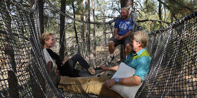 14:00: Hus i tretoppene (S7 E4) (S7) | Animal Planet | 12/12 2025