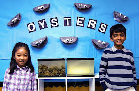 Splash and Bubbles: Get Your Feet Wet, Season 1: Amazing Classroom Oyster Experiment