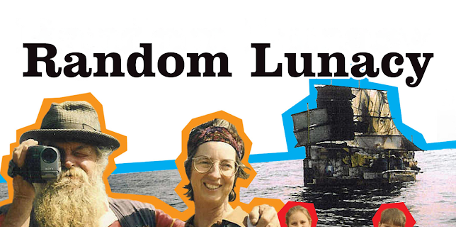 Random Lunacy: videos from the road less traveled (2007)