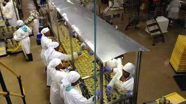 04:00: Hvordan gjør de det? (S4 E1) (S4) | Discovery Science | 4/12 2026