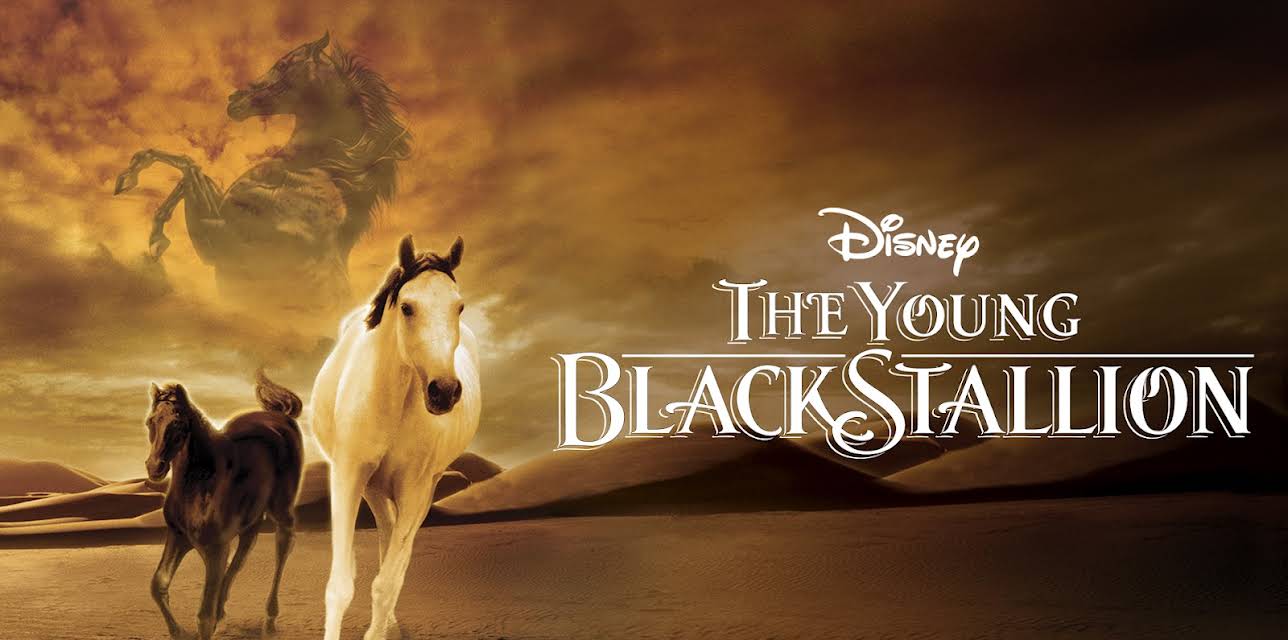 Young Black Stallion (2003)