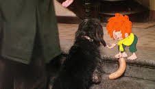 Meister Eder und sein Pumuckl (10/52)