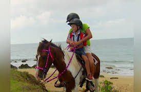 Caribbean Life Season 1: So Long Vermont, Hola Vieques