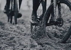 Cykelcross Trofee veldrijden  Oudenaarde