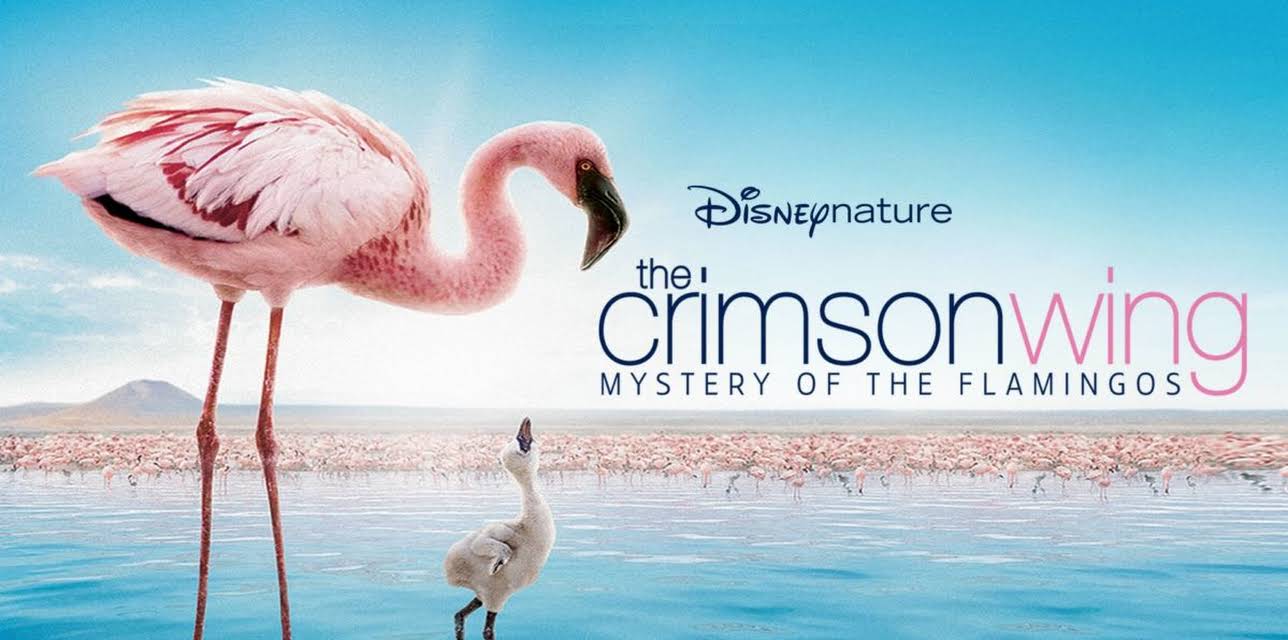 Crimson Wing (2008)