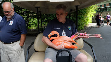 00:00: The Bronx Zoo (S1 E2) (S1) | Animal Planet | 4/6 2026