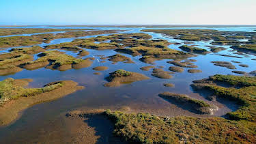 01:45: Portugal Wildnis zwischen Land und Ozean | RBB Fernsehen | 5/6 2026