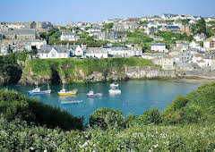 Pubs, Ponds and Power: The Story of the Village