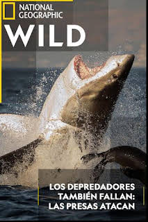 20:50: Los depredadores también fallan: las presas atacan | Nat Geo Wild | 3/4 2026