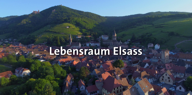 05:45: Tiere und Pflanzen | SR Fernsehen | 1/7 2026