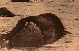 The Way West, Season 1: War for the Black Hills