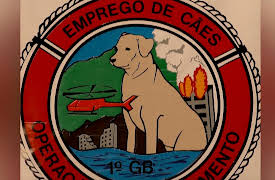 Petchannel Brasil: Vasty The Rescue Dog From The Fire Department