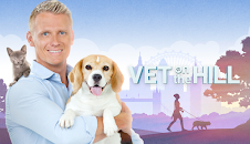 VETERINARIO EN LA CIUDAD