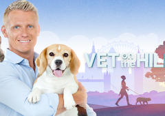 VETERINARIO EN LA CIUDAD