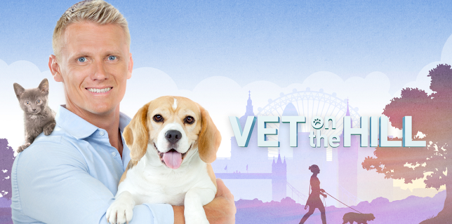 VETERINARIO EN LA CIUDAD