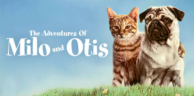 The Adventures Of Milo And Otis (1989)
