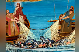 Jesus Wonder: Peter's Amazing Catch
